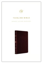 ESV Thinline Bible--bonded leather, burgundy