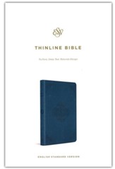 ESV Thinline Bible--soft leather-look, deep teal with rotunda design
