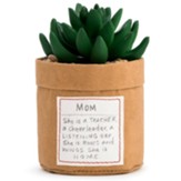 Mom Plant Kindness Succulent