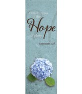 Hope Banner (2' x 6')