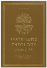 ESV Systematic Theology Study Bible--imitation leather, chestnut