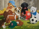 Lets Play Ball Puzzle, 200 Pieces