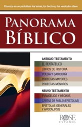 Bible Overview Pamphlet - Spanish Edition
