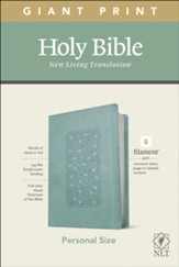 NLT Giant-Print Personal-Size Bible, Filament Enabled Edition--soft leather-look, floral frame teal