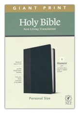 NLT Giant-Print Personal-Size Bible, Filament Enabled Edition--soft leather-look, black/onyx