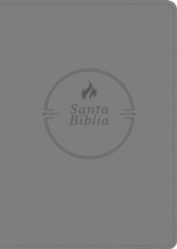 Santa Biblia RVR60, Edición zíper con referencias, letra grande, SentiPiel, Gris (RVR60 Large-Print Reference Bible--soft leather-look, gray (zipper edition))