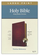 KJV Large-Print Thinline Reference Bible, Filament Enabled Edition--soft leather-look, burgundy (indexed)