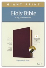 KJV Giant-Print Personal-Size Bible, Filament Enabled Edition--genuine leather, burgundy (indexed)