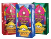 Christmas is a Promise Kept Gift Bag, Pack of 12