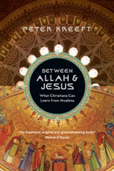 Between Allah & Jesus: What Christians Can Learn from Muslims - eBook