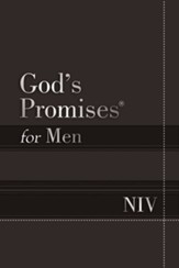 God's Promises for Men NIV: New International Version - eBook