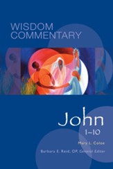 John 1-10: Wisdom Commentary