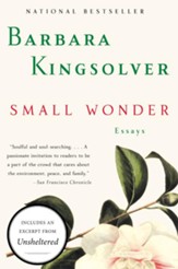Small Wonder - eBook