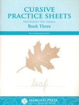 Cursive Practice Sheets Book 3