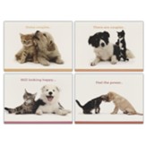 Better Together, Anniversary Cards, Box of 12
