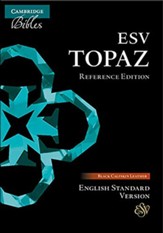 ESV Topaz Reference Bible--calfskin leather, black