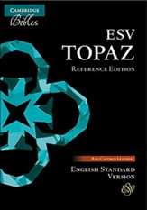 ESV Topaz Reference Bible--calfskin leather, cherry red