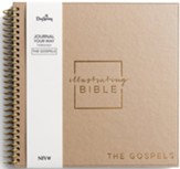 Illustrating Bible NIV: The Gospels  (Mathew, Mark, Luke and John)