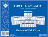 First Form Latin Grammar Wall Charts (2nd Edition)