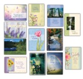 Sympathy Cards, Box of 11