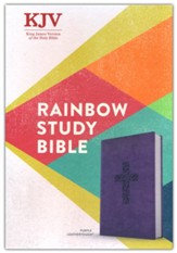 KJV Rainbow Study Bible--soft leather-look, purple - Slightly Imperfect