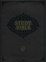 KJV Study Bible--soft leather-look, brown/brown