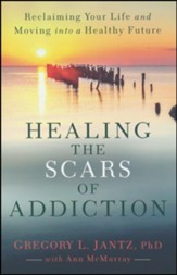 Healing the Scars of Addiction: Reclaiming Your Life and Moving into a Healthy Future - Slightly Imperfect