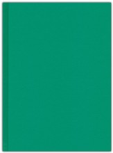 Holy Bible, Berean Standard Bible-Green Hardcover, Hardback