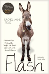 Flash: The Homeless Donkey Who Taught Me about Life, Faith, and Second Chances - eBook