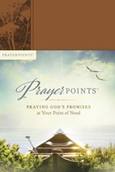 PrayerPoints: Praying God's Promises at Your Point of Need - eBook