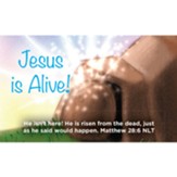 Easter Scripture Cards, Easter, Jesus is Alive (Empty Tomb), Matthew 28:6, Pack of 25