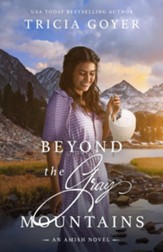 Beyond the Gray Mountains - A Big Sky Amish Novel, #1 -  large print edition