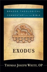 Exodus (Brazos Theological Commentary on the Bible) - eBook