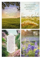 Roy Lessin Landscapes Get Well Cards, Box of 12