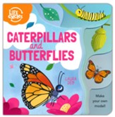 Caterpillars and Butterflies: Make  Your Own Model!