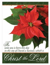 Poinsettia Christmas Cards, Box of 12 (KJV)