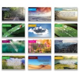 Pass Along Scripture Card Variety Pack of 60, Assortment 6