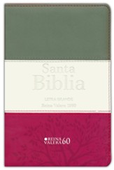 Biblia Reina Valera 1960 Letra Grande Tam. manual - gris/crema/rojo con indice y cierre (Large Print Pocket Size - Grey/Cream/Red with Index and Closure)