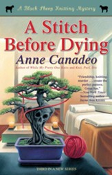 A Stitch Before Dying - eBook