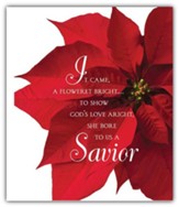 Savior Poinsettia Christmas Large Bulletins, 50