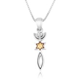 Messianic Pendant in Silver and Gold Plate