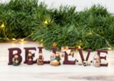 Believe Nativity, 7 Piece