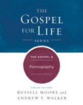 The Gospel & Pornography - eBook