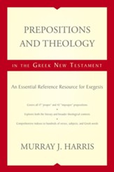 Prepositions and Theology in the Greek New Testament: An Essential Reference Resource for Exegesis - eBook
