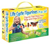Life Cycle Figurines (24 Pieces in a Case)