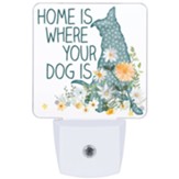 Home is Where Your Dog is, Nightlight
