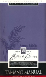 RVR60 Biblia de promesas - Tamaño manual- Edición lavanda imitación piel con cierre