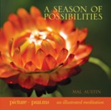 A Season of Possibilities - eBook