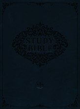 KJV Study Bible--soft leather-look saddle tan (indexed)