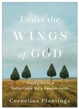 Under the Wings of God: Twenty Biblical Reflections for a Deeper Faith